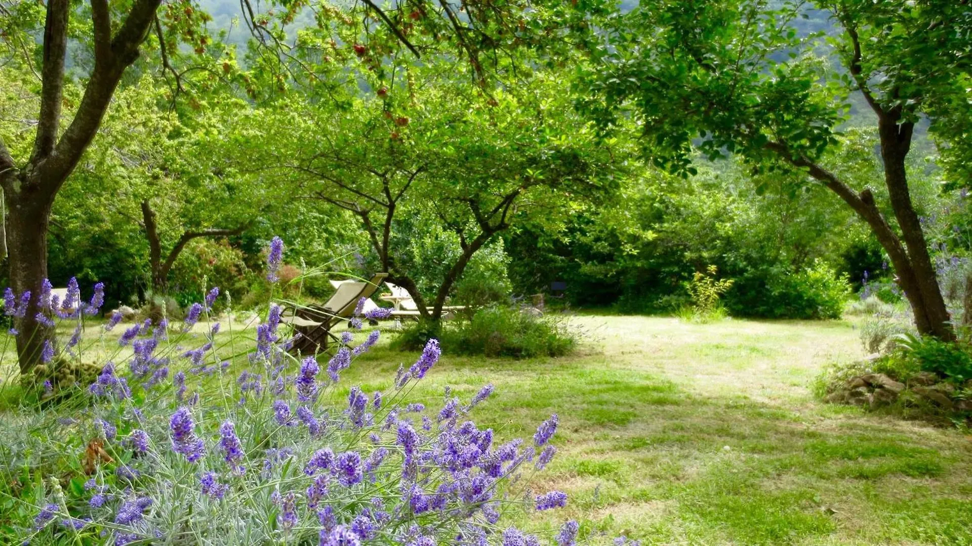 Country House With Big Garden Gazzelli