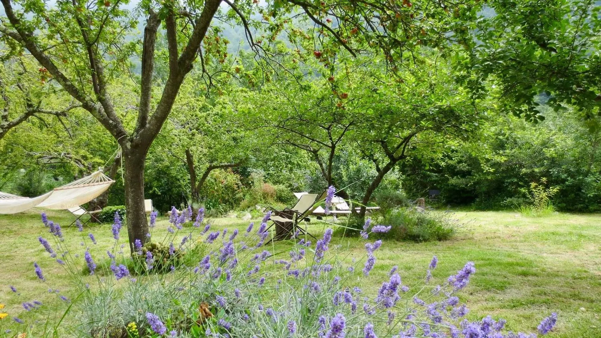 Apartment Country House With Big Garden Gazzelli