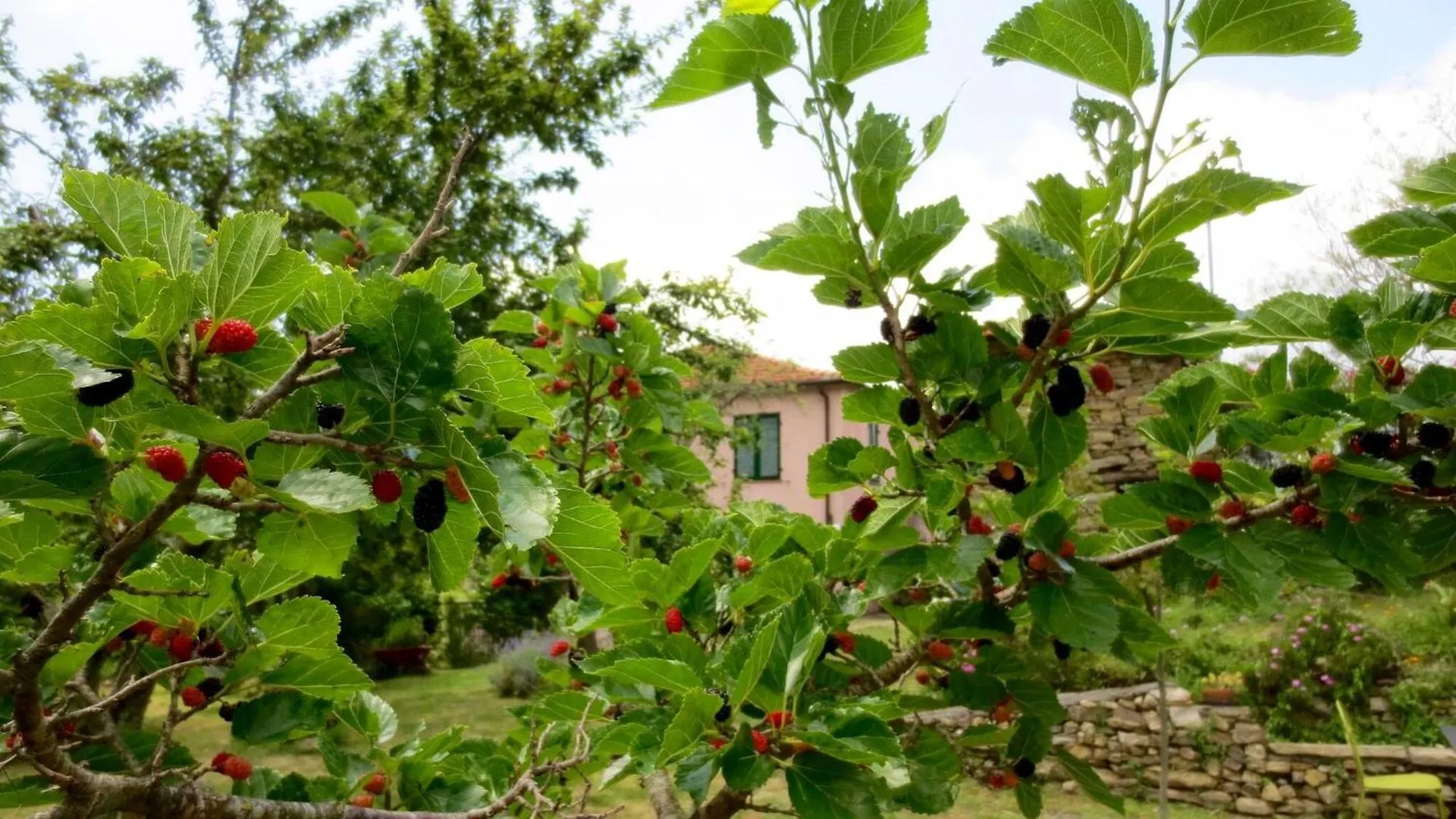 Country House With Big Garden Gazzelli Italy