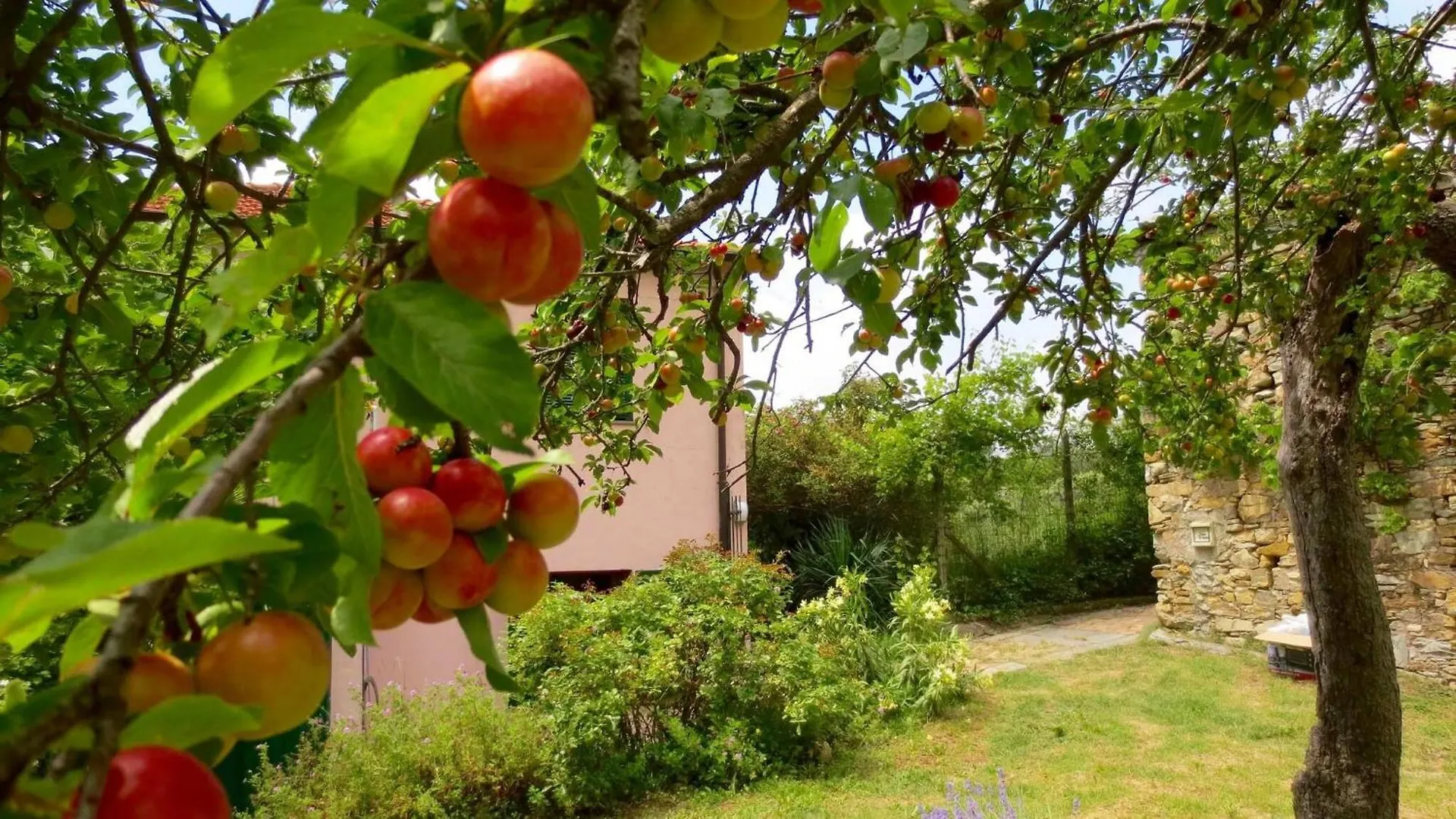 Apartment Country House With Big Garden Gazzelli Italy