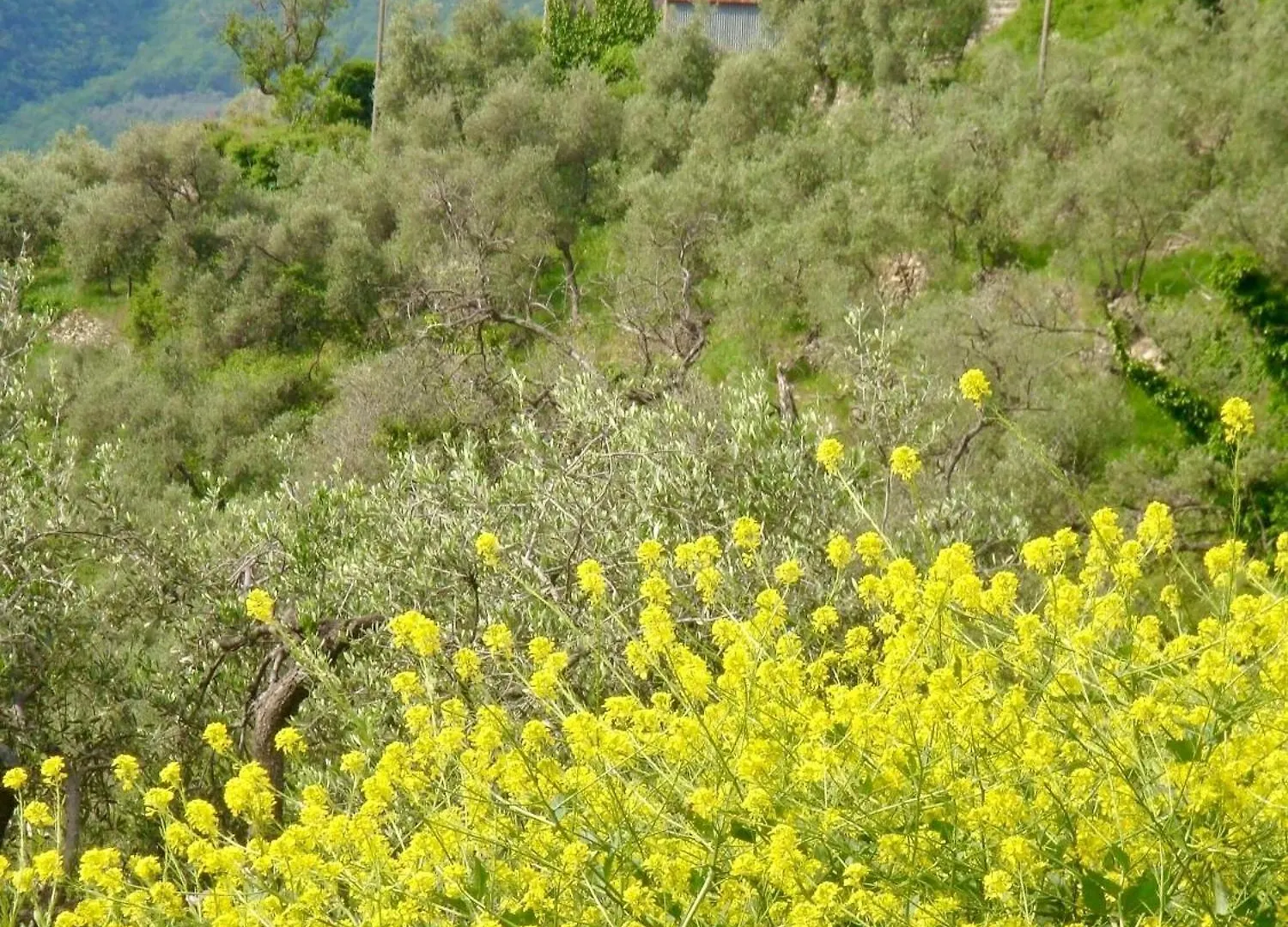 Country House With Big Garden Gazzelli 0*,  Italy