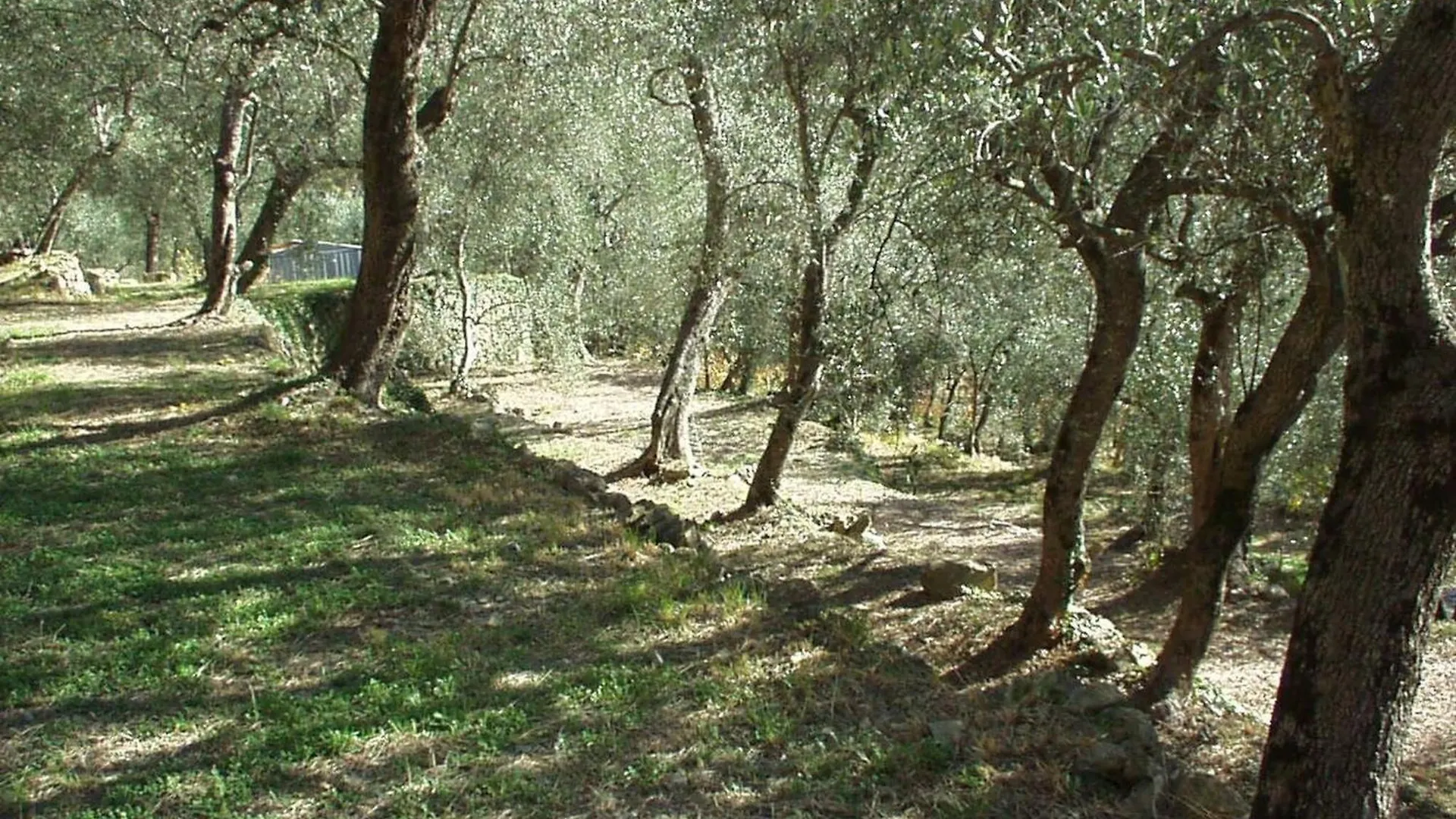Country House With Big Garden Gazzelli Italy