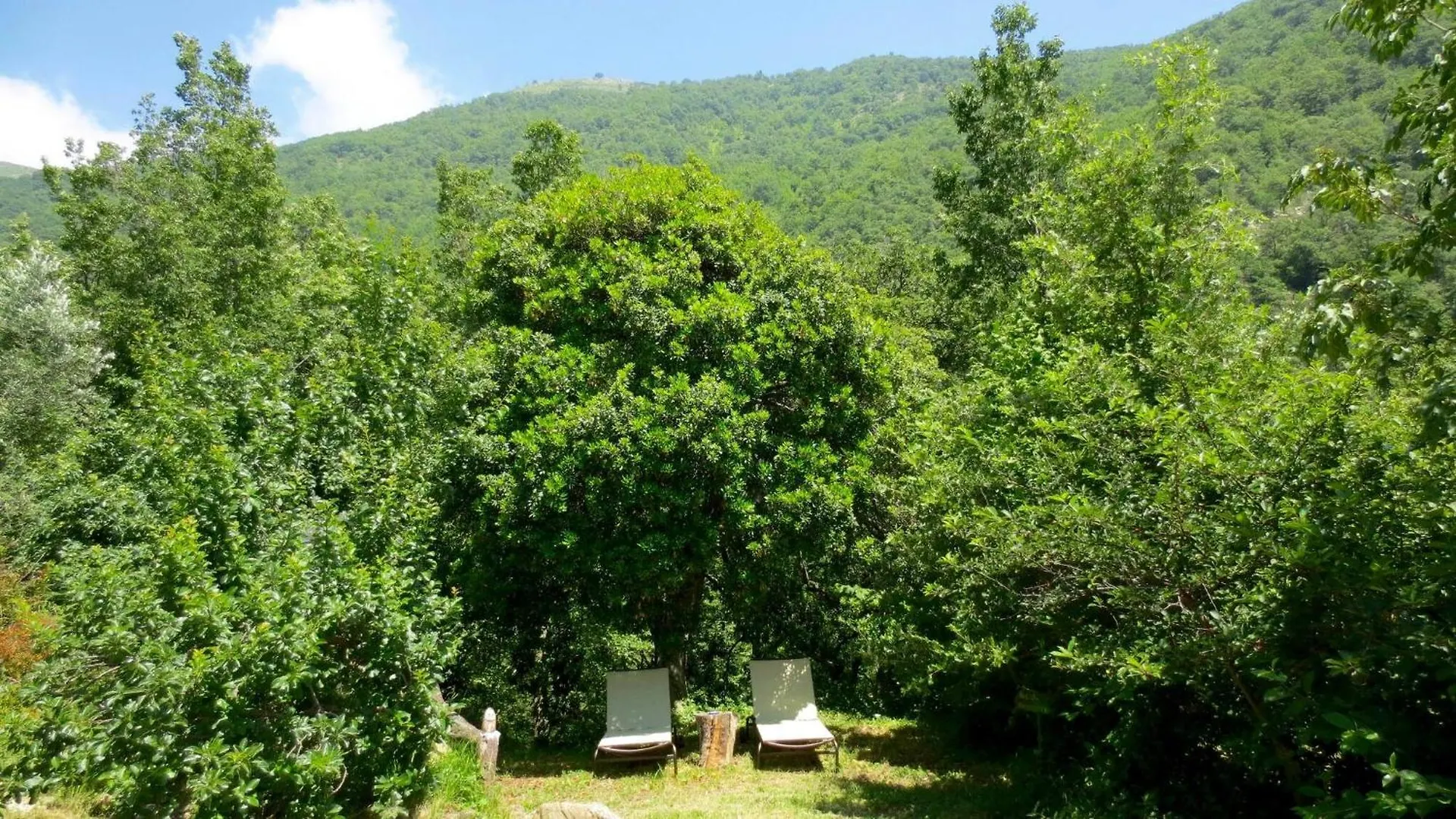 Country House With Big Garden Gazzelli Italy